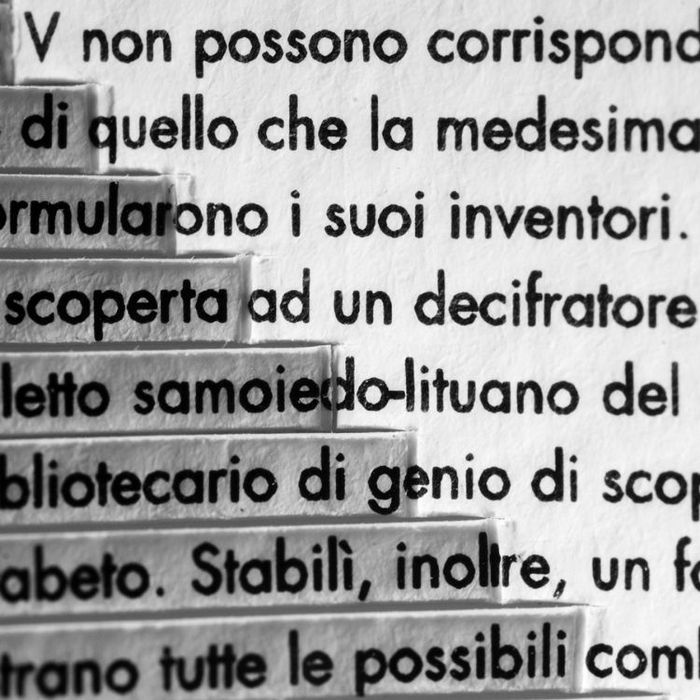 Carlo Battisti - La Biblioteca di Babele. Senza titolo, 2008 [Detail].